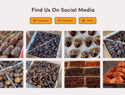 Boost Your Website’s Engagement with Our Customizable Social Media Section
